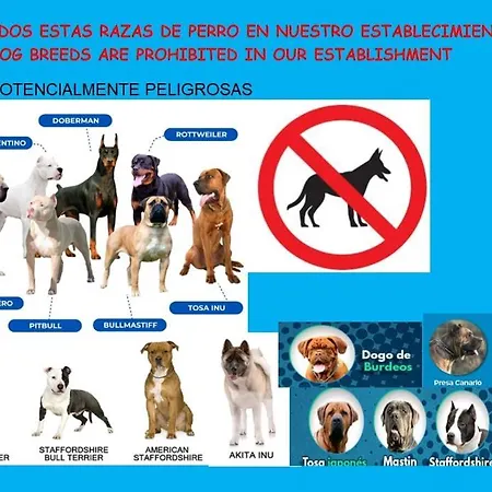 Apartament Plaza Longoria-oviedo Centro Oviedo